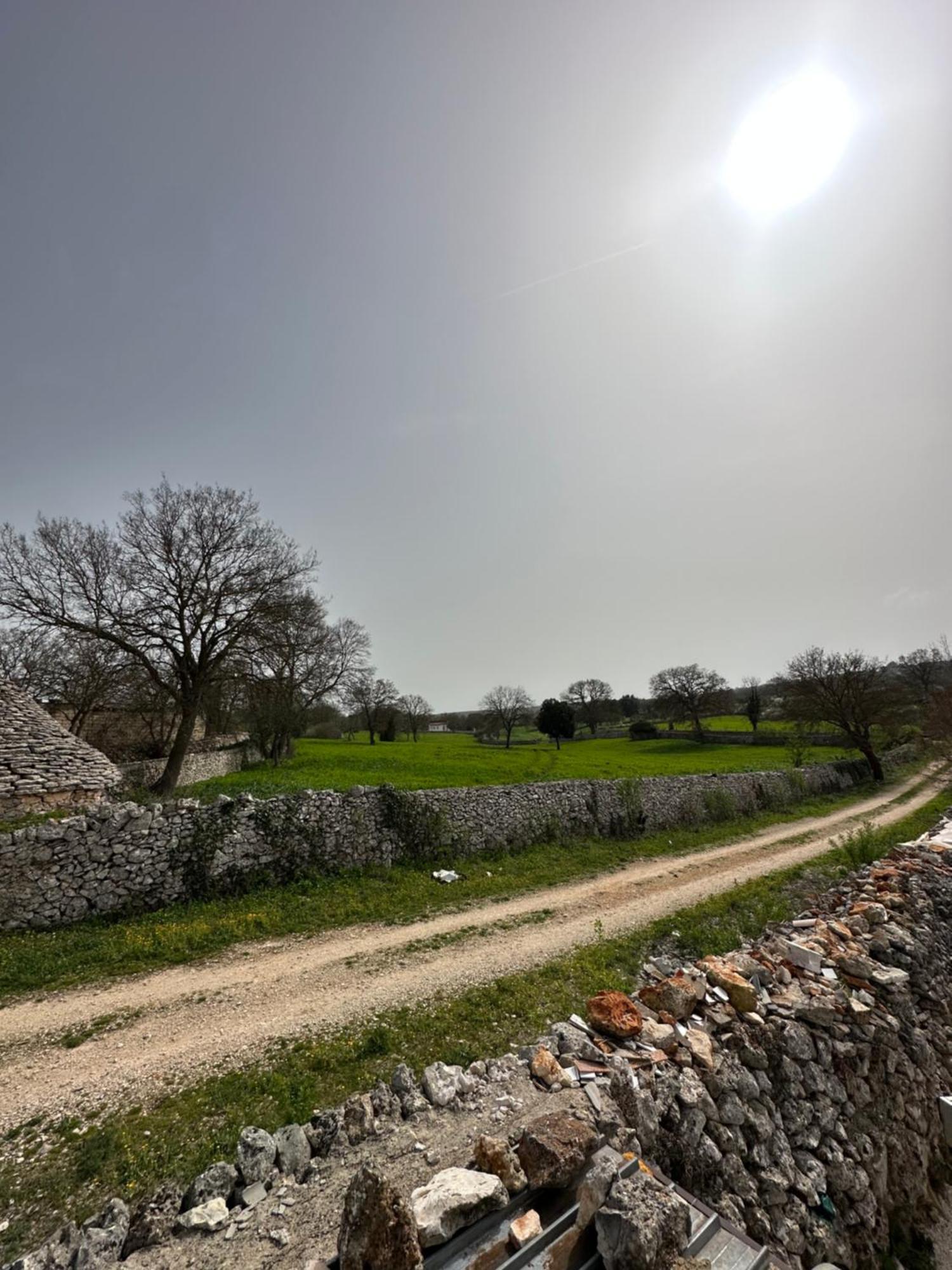 Trulli In Contrada Villa Noci Dış mekan fotoğraf