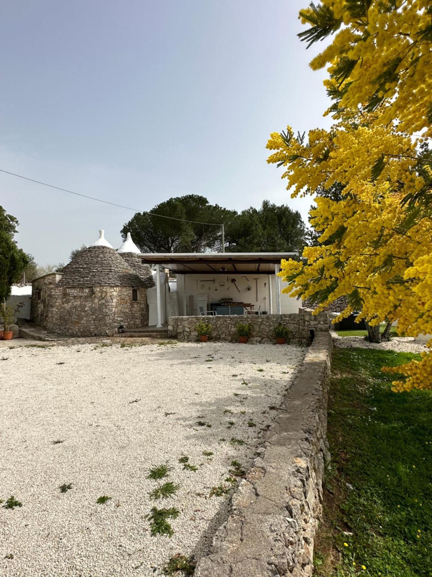 Trulli In Contrada Villa Noci Dış mekan fotoğraf
